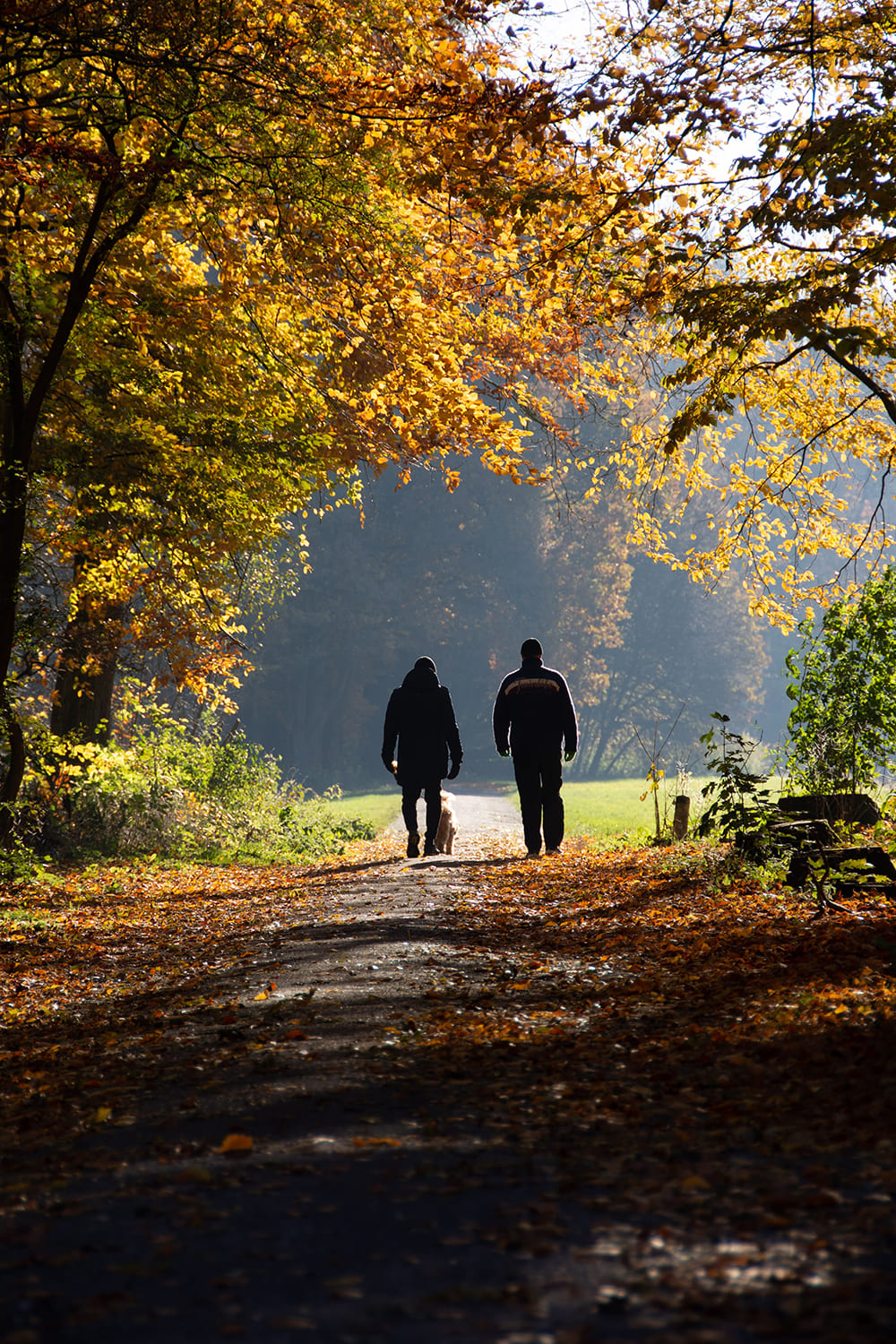 News & Events | General Practice Alliance News & Events | General Practice Alliance